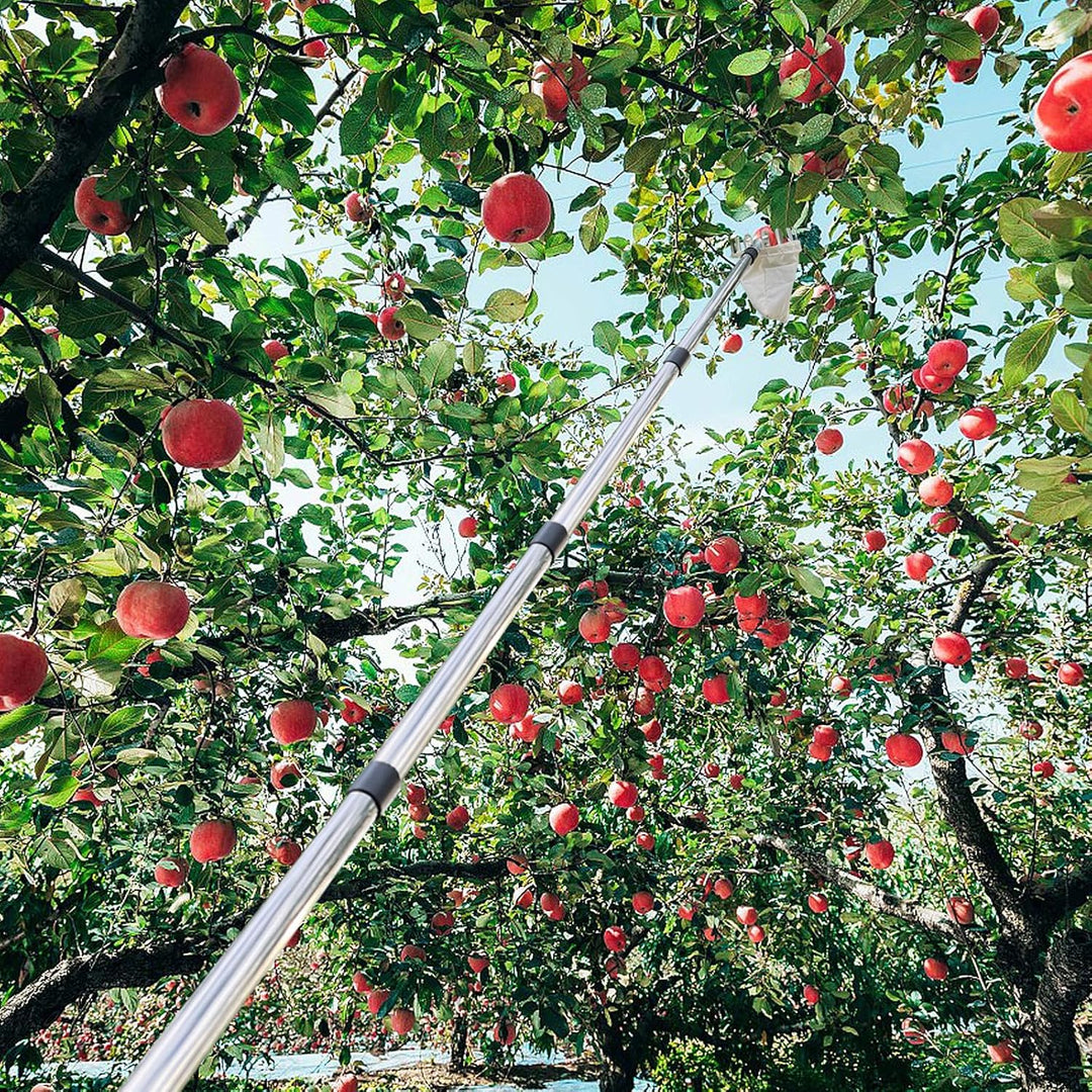 4,2M Obstpflücker mit Teleskopstiel, Apfelpflücker, Kirschenpflücker mit Leichter Edelstahl Teleskop