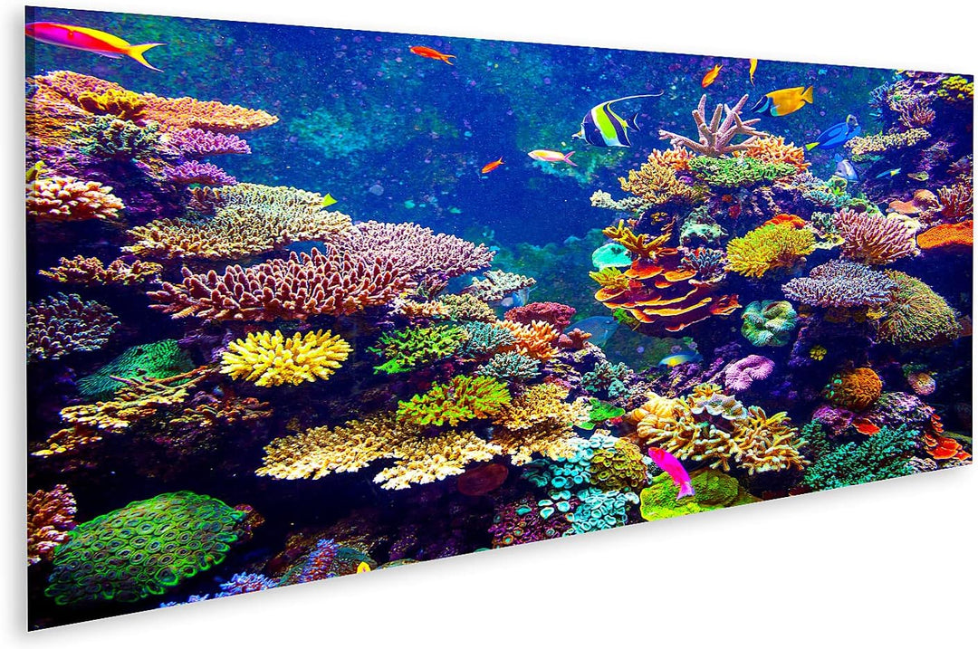 islandburner Bild auf Leinwand Singapur Aquarium Korallenriff Tropische Fische Sonnenlicht Bilder Wa