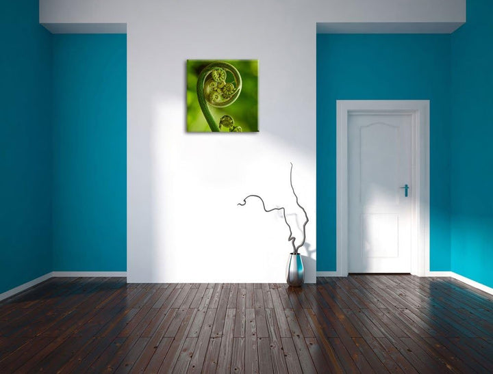 Pixxprint Lockiges Blatt von Einer Farne im Wald, Format: 70x70 auf Leinwand, 70x70