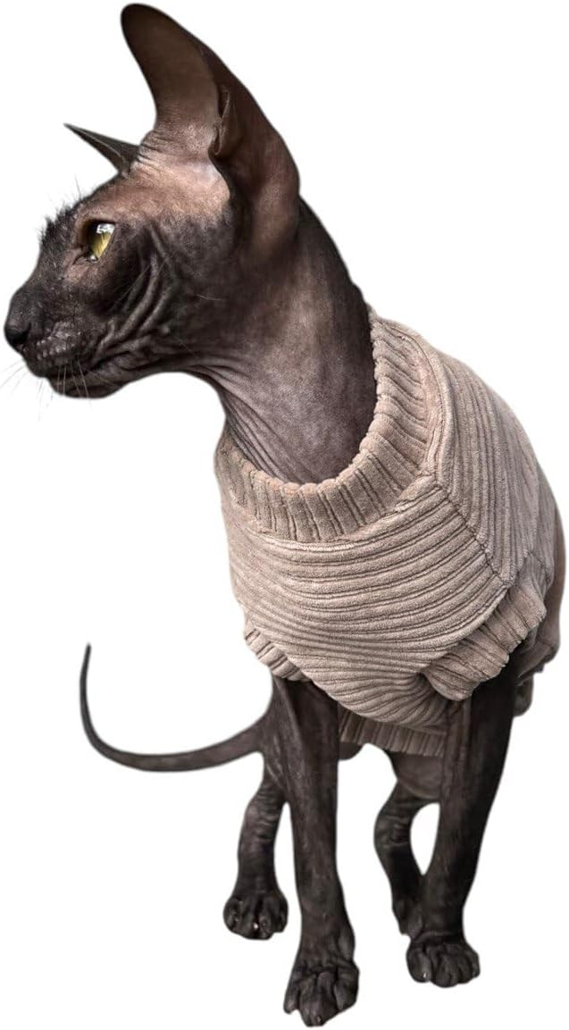 Kotomoda Katzen-T-Shirt aus Cord fьr Sphynx und nackte Katzen (Medium, Taupe) mittel taupe, mittel t