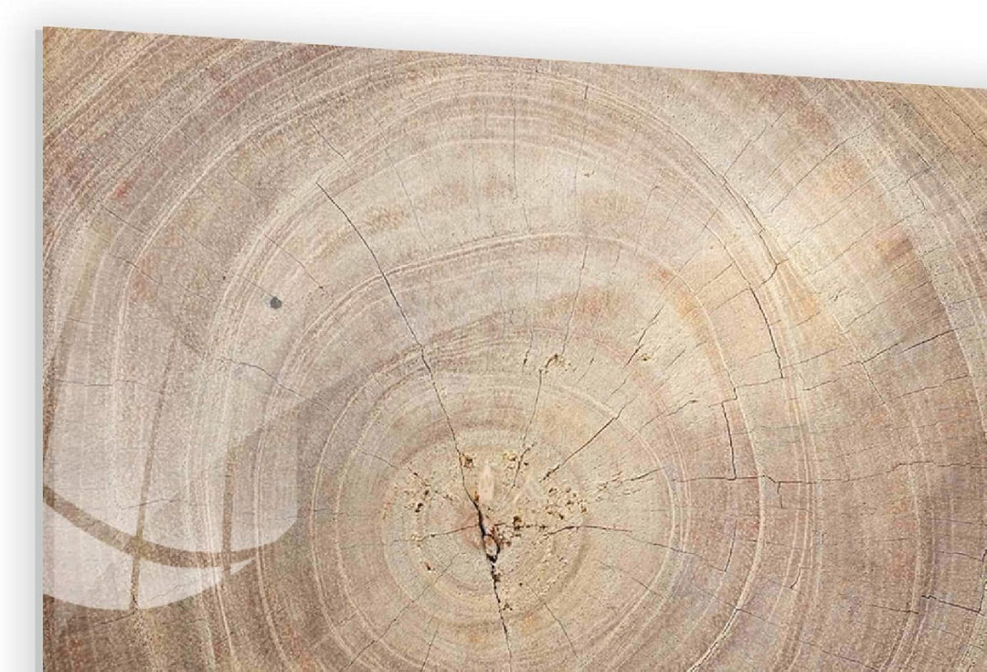 ALLboards Glas Magnettafel Baumstamm Natur Baumkern 60x40cm Glasbild Memoboard aus Glas Glastafel mi