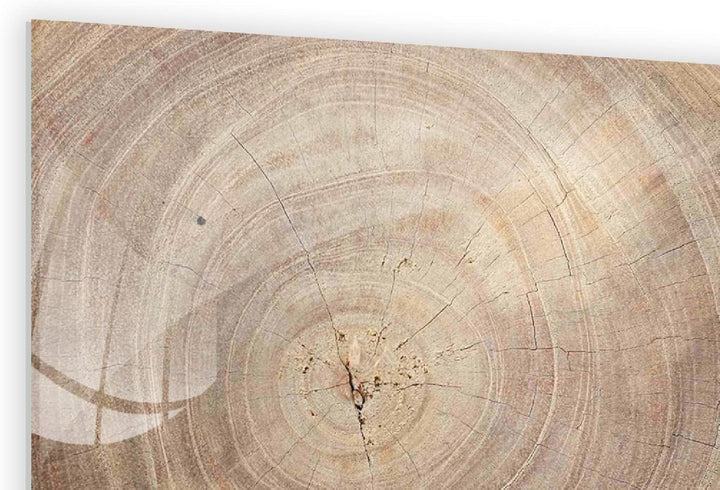 ALLboards Glas Magnettafel Baumstamm Natur Baumkern 60x40cm Glasbild Memoboard aus Glas Glastafel mi