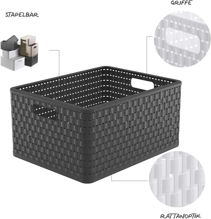 Rotho Country 3er-Set Aufbewahrungsbox Rattan-Optik, Kunststoff (PP) BPA-frei, anthrazit, 3 x A4+/28