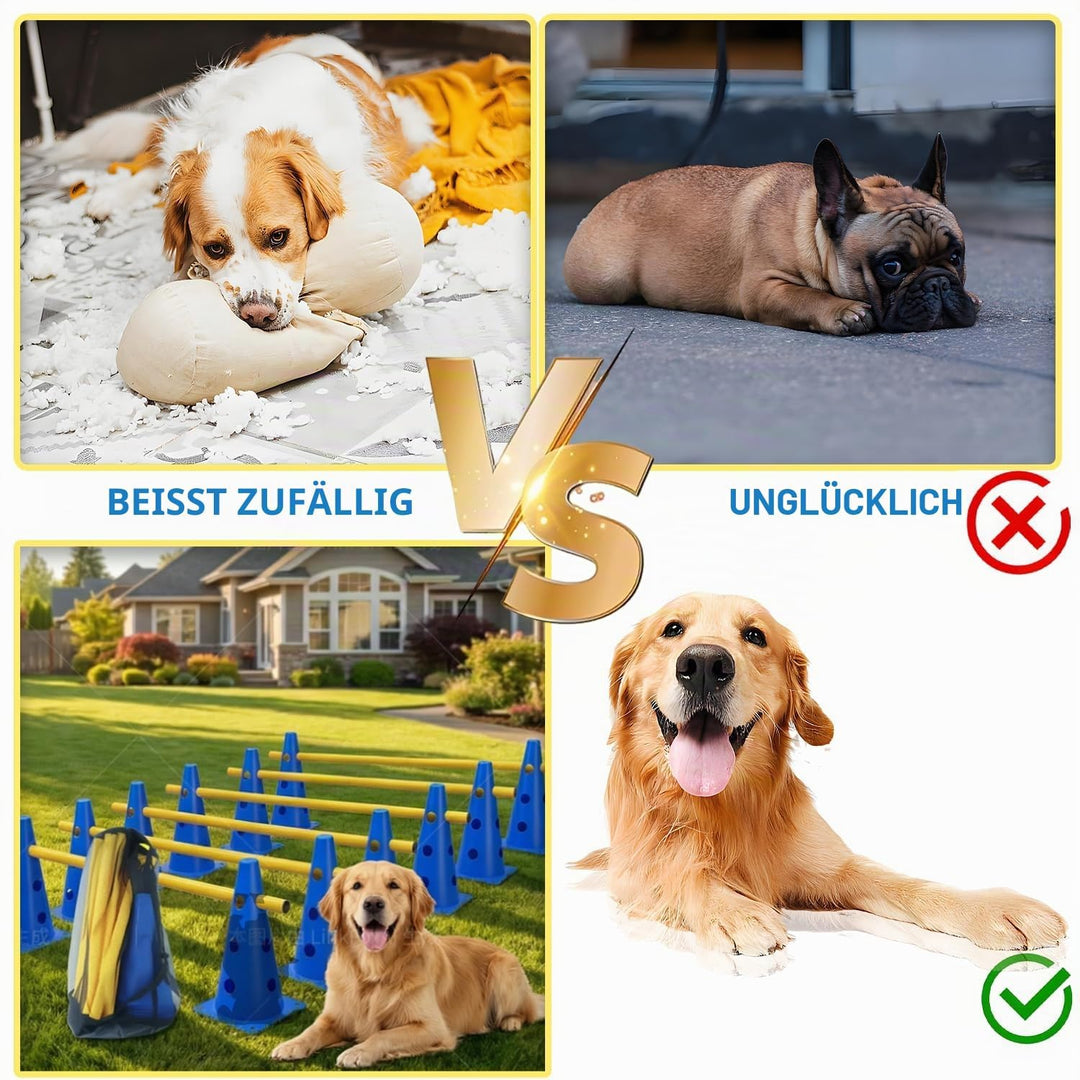 6er Sports Steckhürdenset Cavaletti Agility Set Hunde Hürden Steckhürdenset 12 Kegel 32cm + 6 Stange