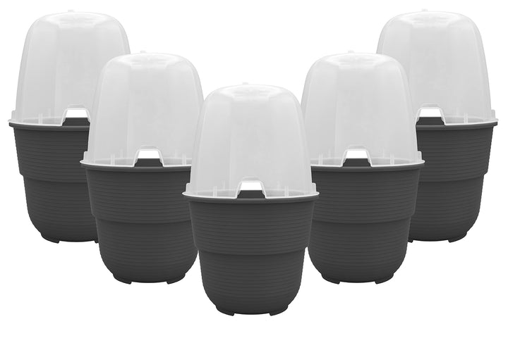 5er-Set Anzuchthaube mit Blumentopf 16 cm Durchmesser Anthrazit runder Anzuchttopf Anzuchthilfe Mini