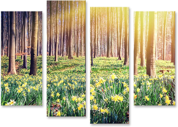 islandburner Bild auf Leinwand Frühling Wald Bedeckt Gelbe Narzissen Landschaft Bilder Wandbilder Po