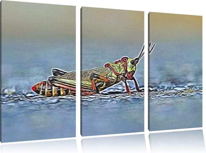 aussergewöhnliche Heuschrecke NewArt 3-Teiler Leinwandbild 120x80 Bild auf Leinwand, XXL riesige Bil