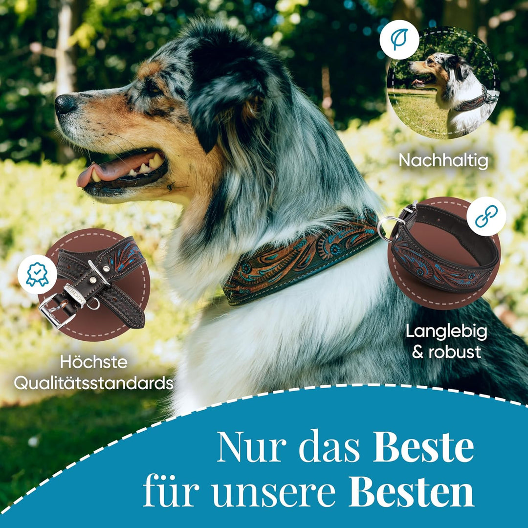 MICHUR Luis Hundehalsband Leder, Lederhalsband Hund, Halsband, Braun mit blauen Akzenten und schönem