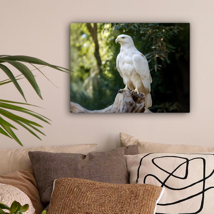 MuchoWow© Leinwand Bilder 40x30 cm Wanddeko Wohnzimmer Aesthetic Room Decor Deko Zimmer Wandbilder M