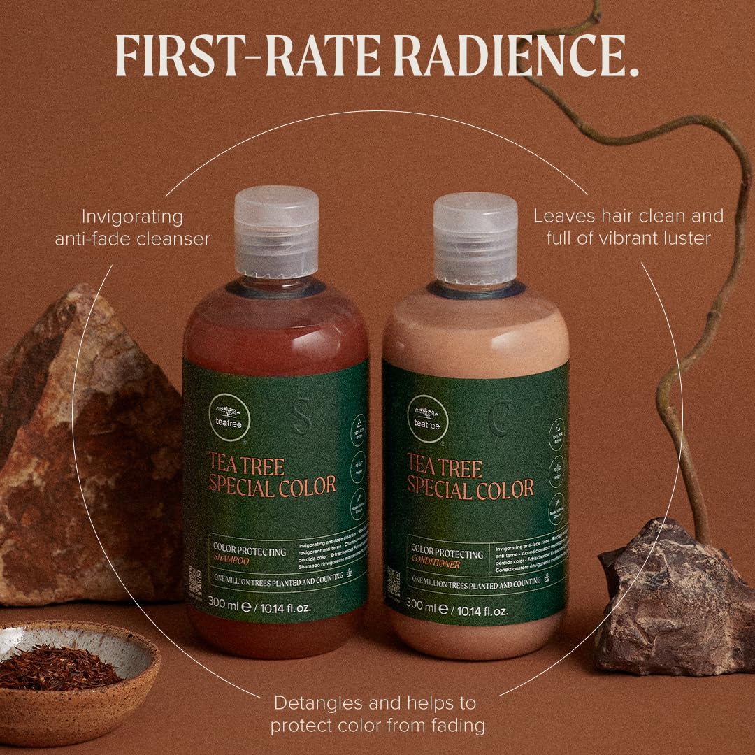 Paul Mitchell Tea Tree Special Color Shampoo - Color Protect Shampoo ideal für coloriertes Haar, Far