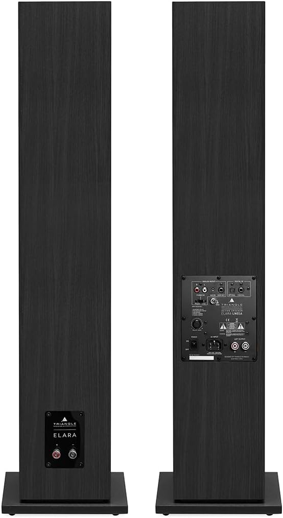 TRIANGLE - Aktive Lautsprecher LN05A - Bluetooth-Säulenlautsprecher mit Verstärker 2 x 80W - HD-Audi