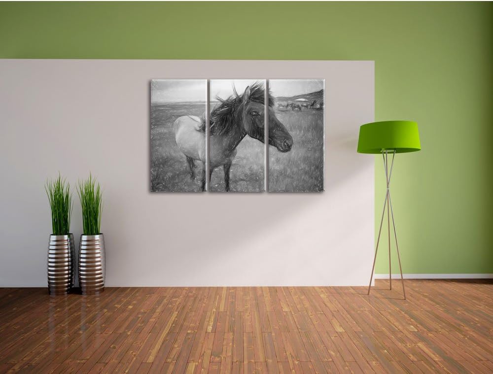 Isländer Pferde in der Wildnis als Leinwandbild/Grösse: 3 Teilig (120x80 cm) cm/Wandbild/Kunstdruck/