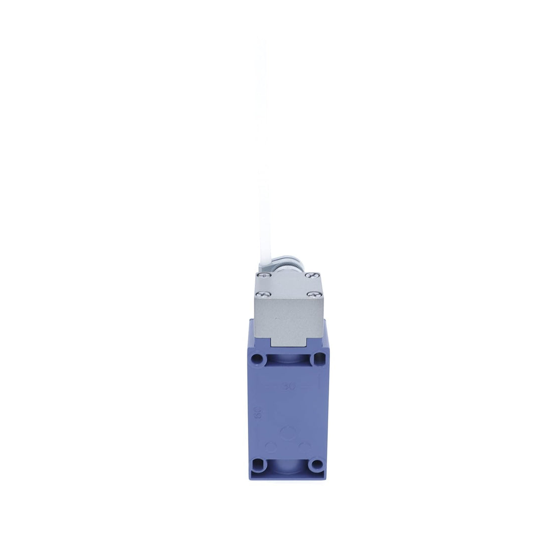 POITION SCHALTER TELEMECHANIK XCKJ10559H29
