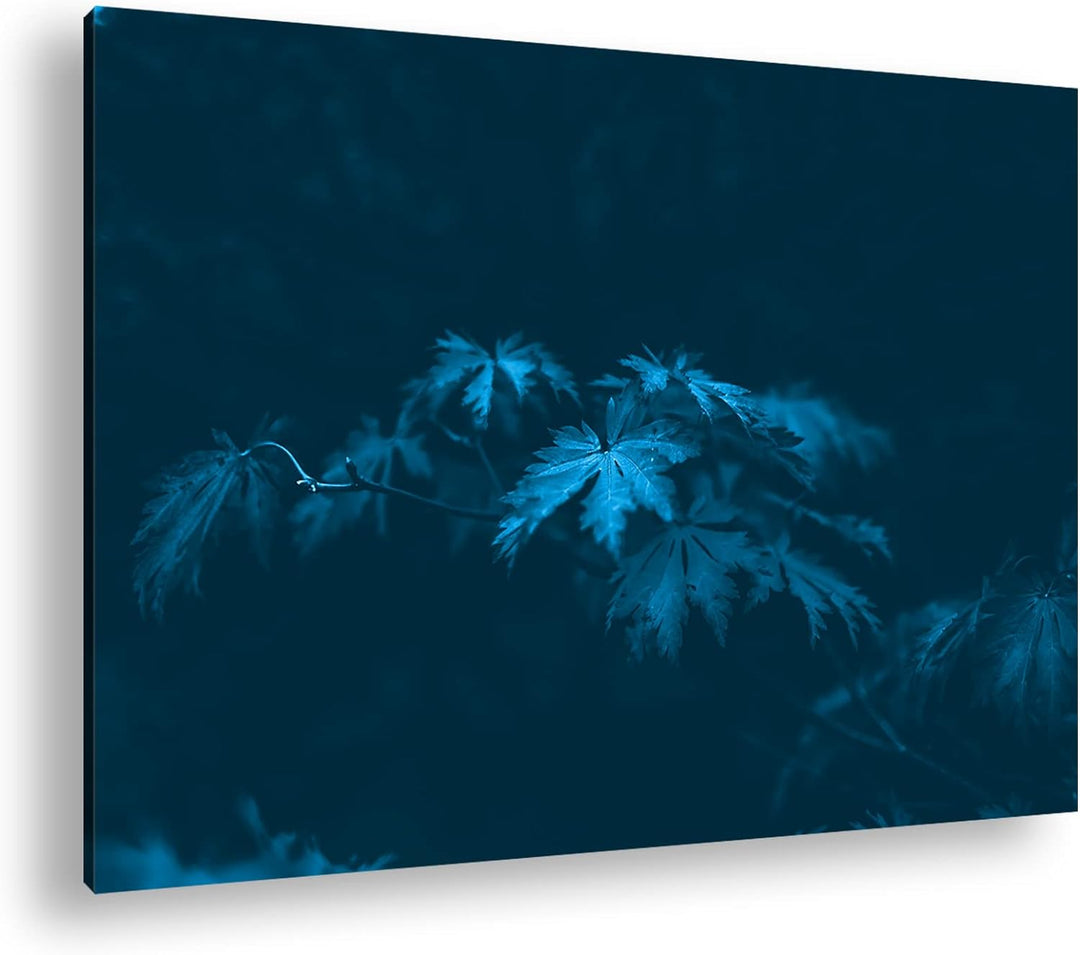 deyoli bezaubernder roter Ahornzweig Format 80x60 Effekt: Monocrome Blau als Leinwandbild, Motiv fer