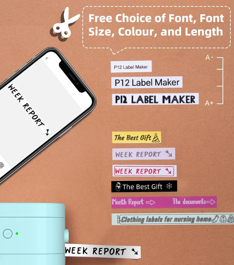 Phomemo P12 Pro Beschriftungsgerät Handgerät | Mini Bluetooth Etikettiergerät mit Etikettenband | US