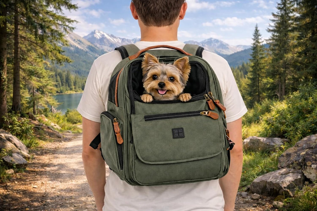 Hunderucksack - Rucksack Wiro Grün – 40x25x41cm – Polyester – verstärkte Rückenwand – Abnehmbarer Bo