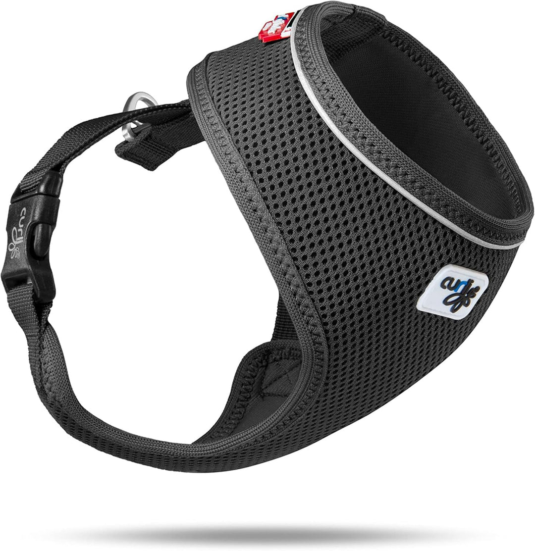 Basic Harness Air-Mesh Black M M Black, M Black
