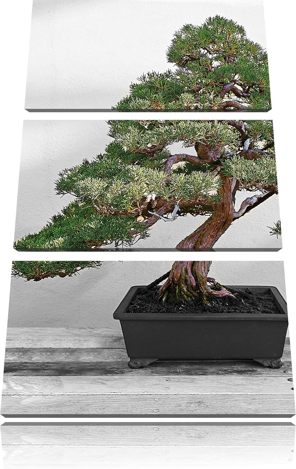 Pixxprint Bonsai Baum auf Holztisch als Leinwandbild | Grösse: 3 Teilig (120x80) | Wandbild| Kunstdr