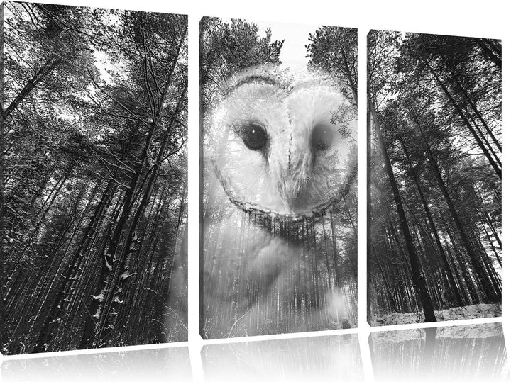Pixxprint Portrait Einer Eule als Leinwandbild 3 teilig/Grösse: 3 Teilig (120x80) / Wandbild/Kunstdr