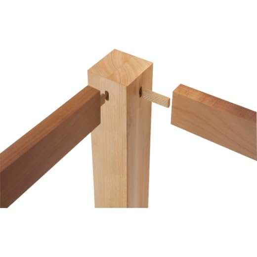 FESTOOL 498218 DOMINO Buche D 14x100/80 BU Pack of 80, Pack of 80