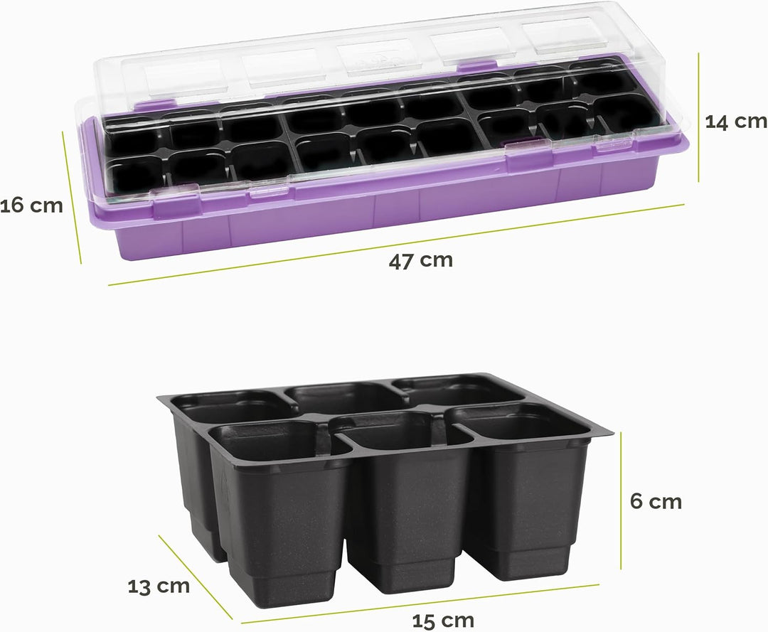 Mini Gewächshaus Anzuchtkasten Pflanzen im Innenbereich Anzuchttöpfe GD-0043 (47x16 cm; Violett, 6 S