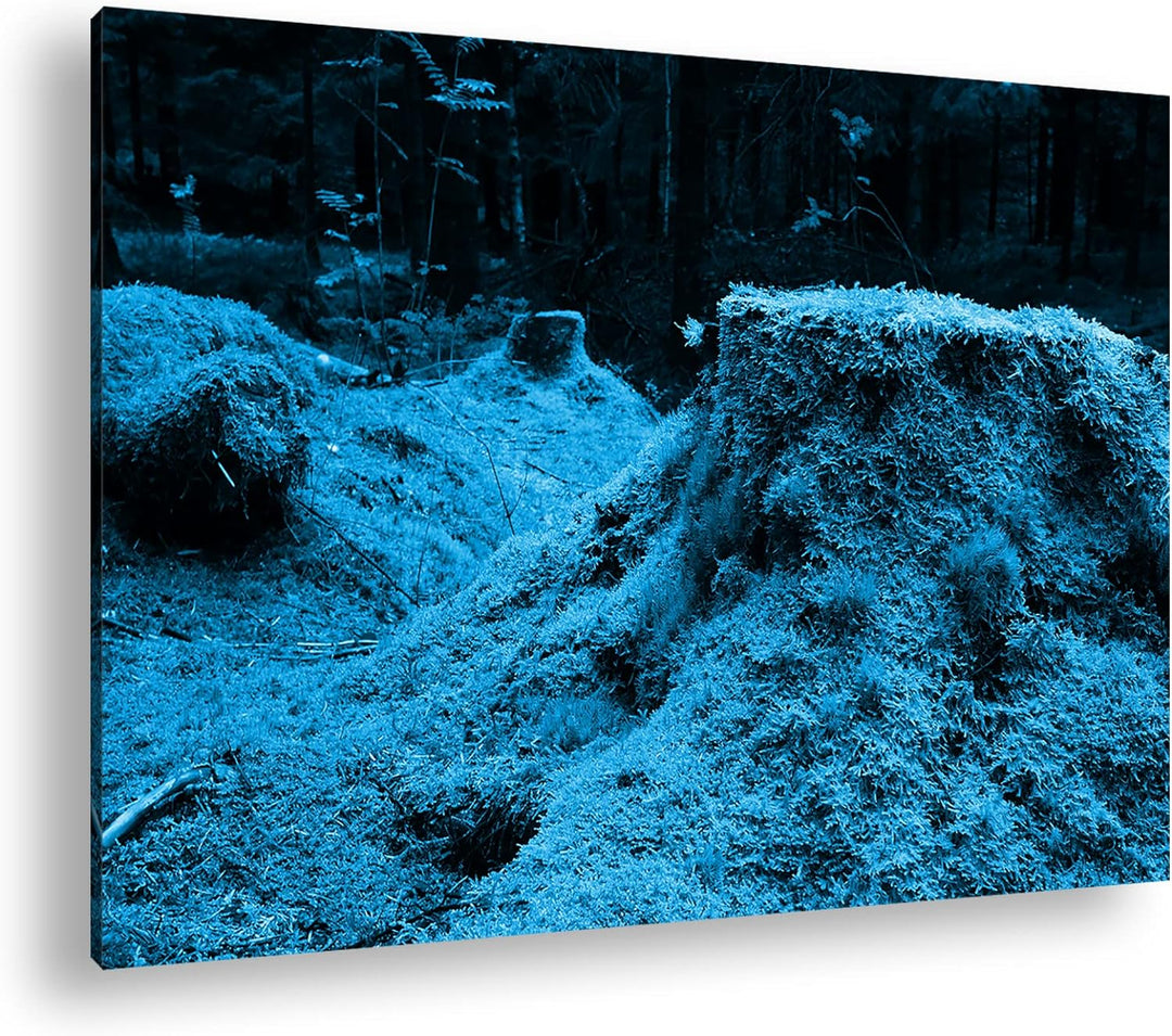 deyoli Moos bedeckter Waldboden Format 100x70 Effekt: Monocrome Blau als Leinwandbild, Motiv fertig