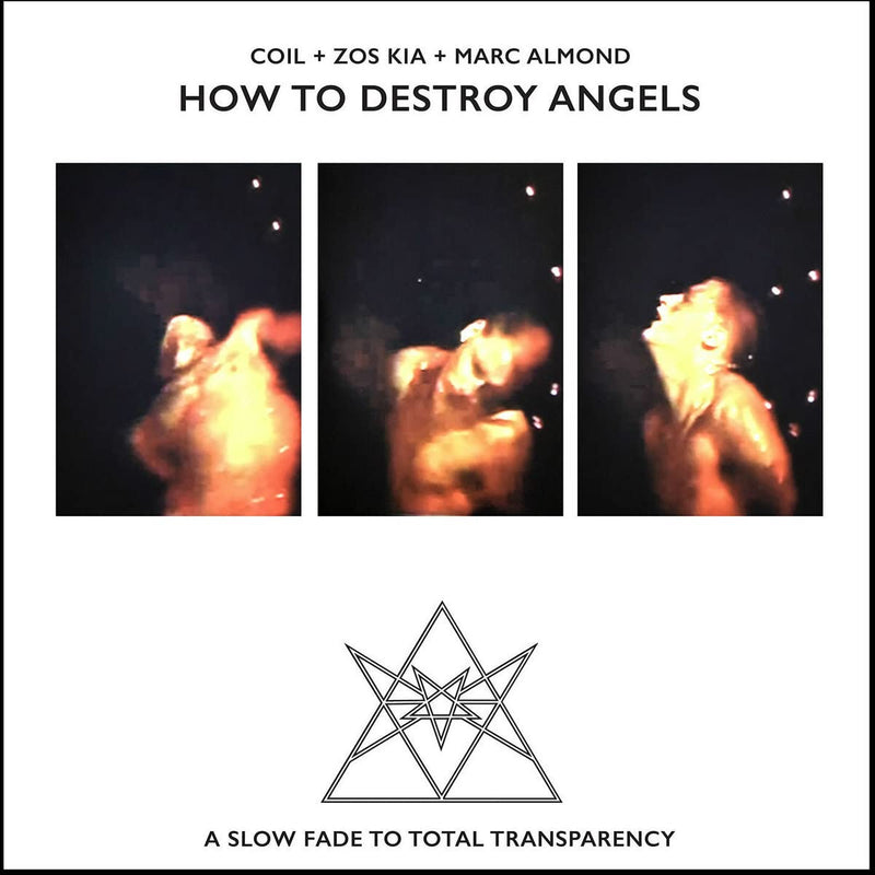 How to Destroy Angels, Vinyl