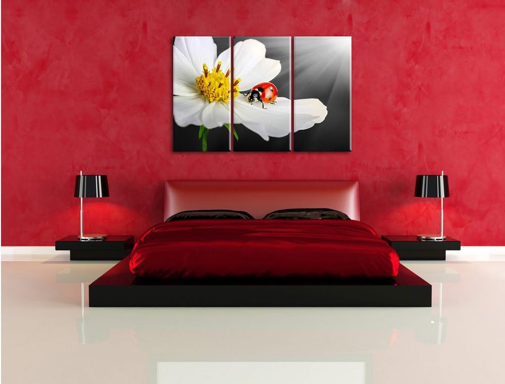 Pixxprint Marienkäfer auf Einer weissen Blume als Leinwandbild/Grösse: 3 Teilig (120x80) cm/Wandbild