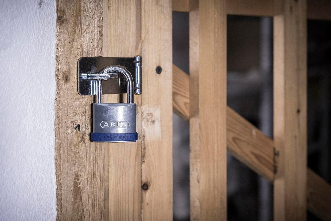 ABUS Vorhängeschloss Silver Rock 5/40 aus massivem Zink - 2er Set - mit Silikon Schutzrahmen - Kelle