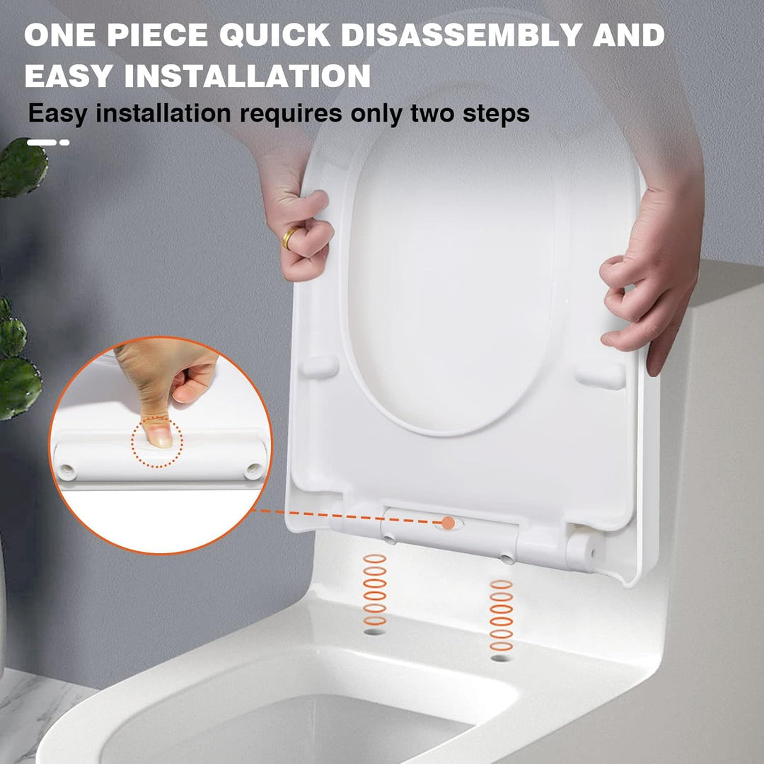 WC-Sitz D-Form Luxus Weiss Absenkautomatik Toilettendeckel Ergonomisches Design mit Quick Release Sc