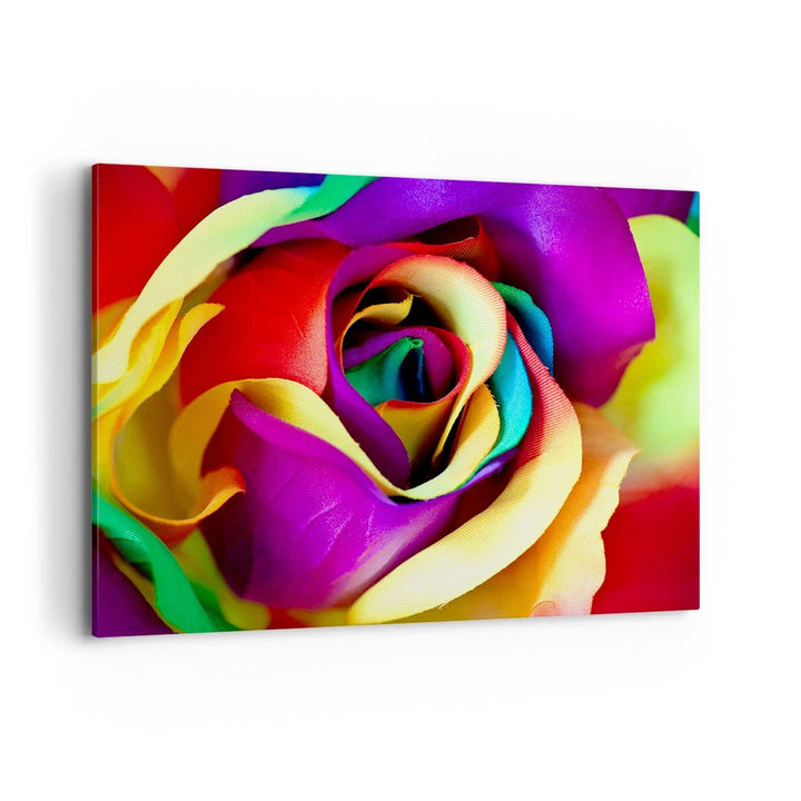 Bilder auf Leinwand 100x70cm Leinwandbild mit Rahmen Blume Farbe Rose Gross Wanddeko Bild Schlafzimm