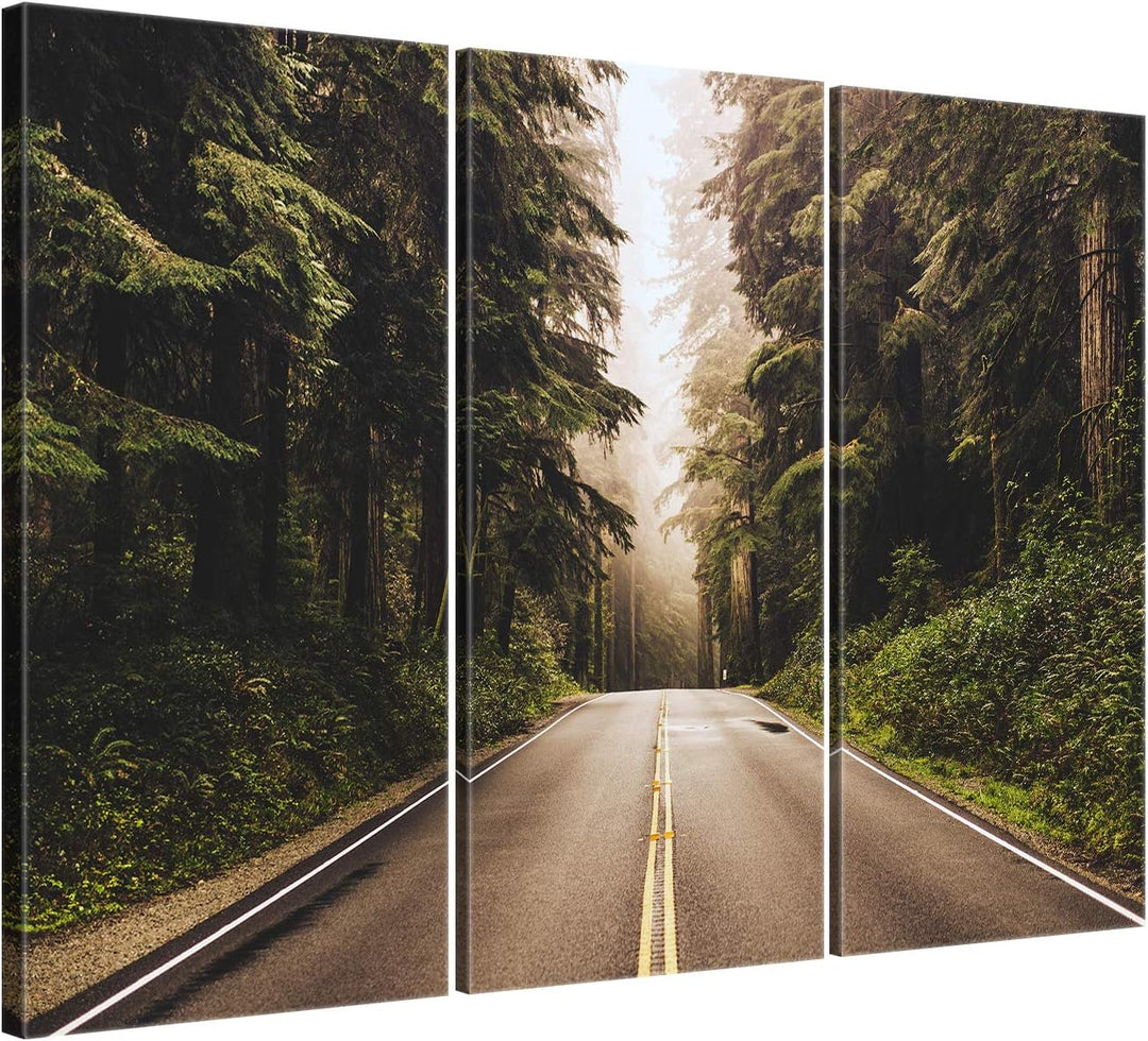 ge Bildet Bild auf Leinwand | Landschaftsbilder - Redwood Highway in Nordkalifornien, USA U in 90x60