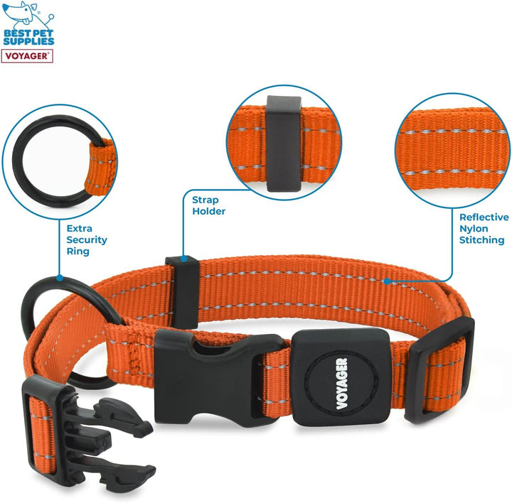 Best Pet Supplies Reflektierendes Hundehalsband mit Verstellbarer Länge, robuste Schnalle und starke