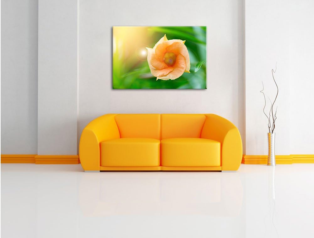 Pixxprint orange Blume im Sonnenlicht / 100x70cm Leinwandbild bespannt auf Holzrahmen/Wandbild Kunst
