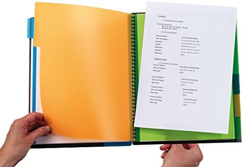 Oxford Organiserbook A4 Studium Collegeblock kariert, 80 Blatt, 5 Stück mit 4 Farben Organiserbook k