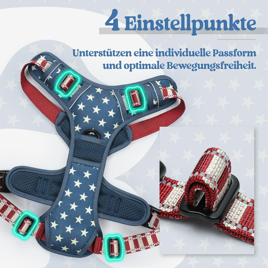 rabbitgoo Hundegeschirr Mittelgrosse Hunde, Anti Zug Geschirr mit Kontrolle, No Pull Verstellbar Hun