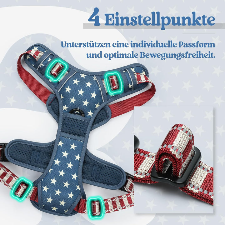 rabbitgoo Hundegeschirr Mittelgrosse Hunde, Anti Zug Geschirr mit Kontrolle, No Pull Verstellbar Hun