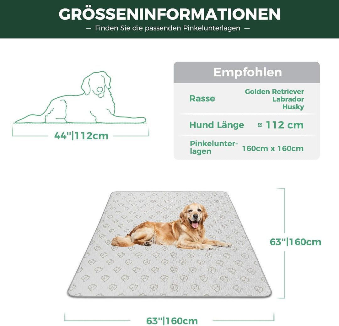 FXW Waschbare Hundeunterlage, 160 x 160 cm, Khaki, 2 Stück | Stark saugfähig, Maschinenwaschbar, Rut