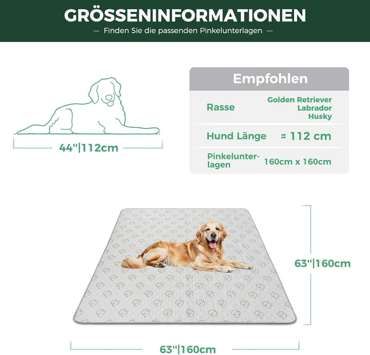 FXW Waschbare Hundeunterlage, 160 x 160 cm, Khaki, 2 Stück | Stark saugfähig, Maschinenwaschbar, Rut