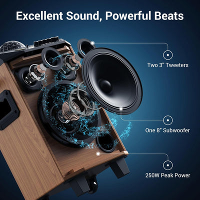 Karaoke Maschine für Erwachsene, TONOR tragbarer Bluetooth Lautsprecher mit 2 kabellosen Mikrofonen,
