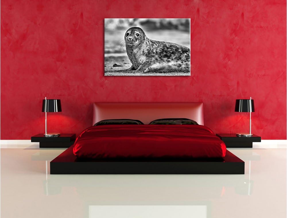 Pixxprint niedliche Robbe am Strand / 100x70cm Leinwandbild bespannt auf Holzrahmen/Wandbild Kunstdr