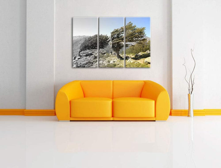 Alter Schiefer Baum in den Bergen schwarz/weiss 3-Teiler Leinwandbild 120x80 Bild auf Leinwand, XXL