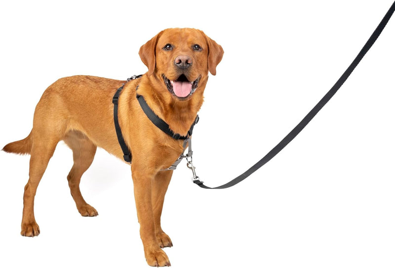 PetSafe 3in1 Harness, from The Makers of The Easy Walk Harness, Fully Adjustable No-Pull Dog Harness