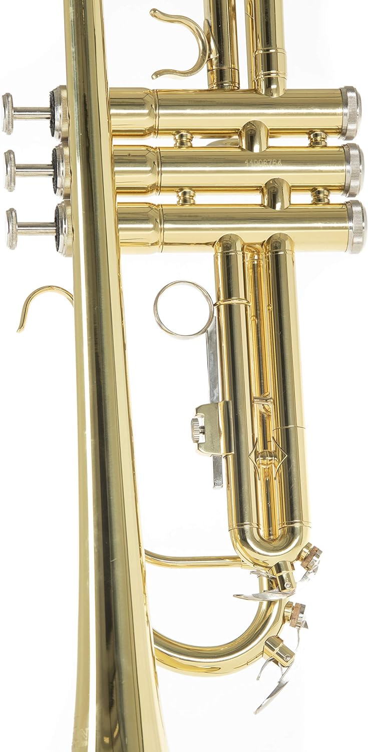 Roy Benson Bb Trompete MOD. TR-101 lackiert, mit Etui, TR-101