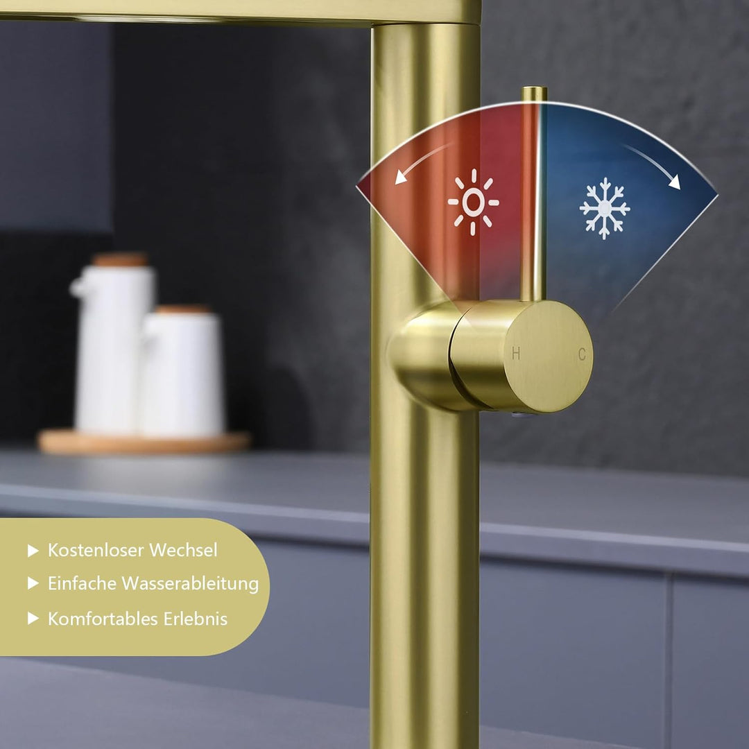 Tohlar Wasserhahn Küche, Spülbeckenarmatur, Einhebel Küchenarmatur aus Edelstahl 360° schwenkbarer A