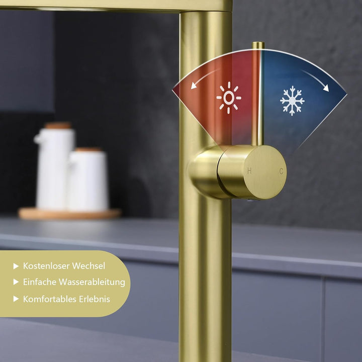 Tohlar Wasserhahn Küche, Spülbeckenarmatur, Einhebel Küchenarmatur aus Edelstahl 360° schwenkbarer A