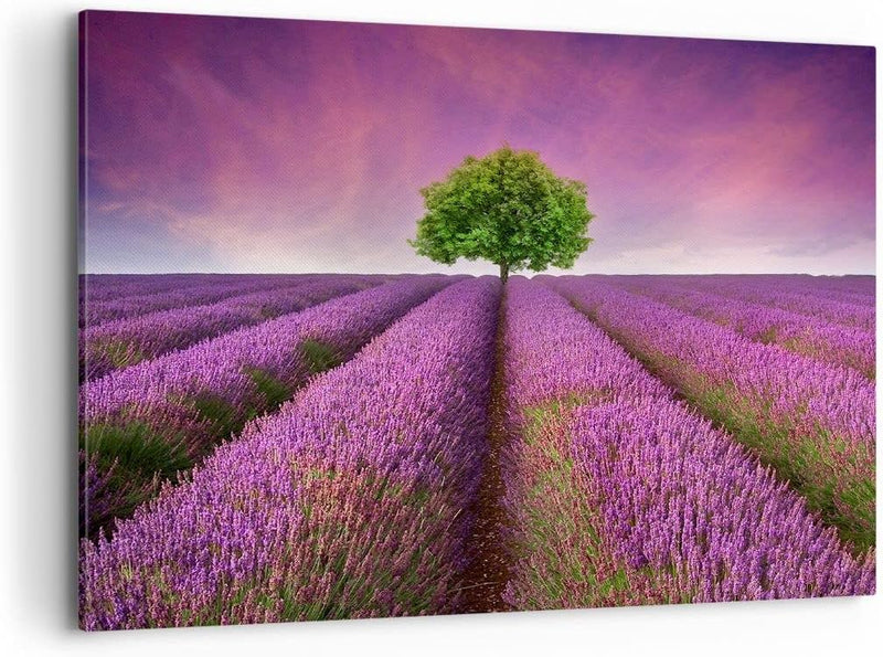 Bilder auf Leinwand 100x70cm Leinwandbild Wiese lavenda Sommer Landschaft Gross Wanddeko Bild Schlaf