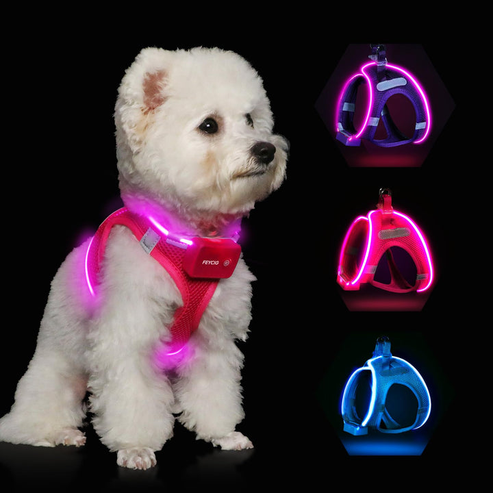 Leuchtend Hundegeschirr LED Aufladbar - Leuchtgeschirr Leuchtendes | Reflektierendes für Welpe Klein