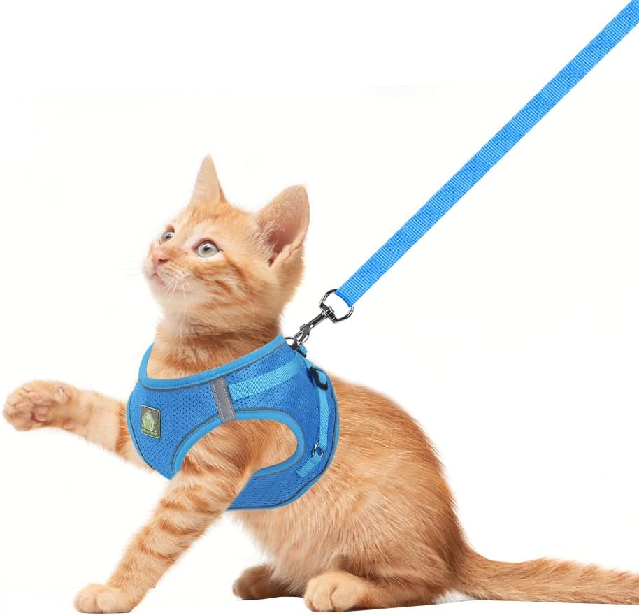 FEimaX Hundegeschirr mit Leine für Kleine Mittele Hunde Katzen Weich Mesh Welpengeschirr Atmungsakti