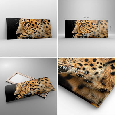 Wandbilder Dekoration Wohnzimmer Tiere Leopard wilde Katze wilde Tiere Bilder auf Leinwand 120x50cm